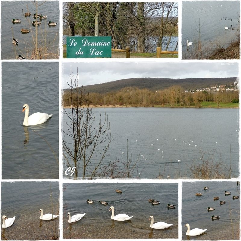 Linterdiction à la pêche 2015 dans le domaine de Pskov